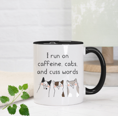 Cuss Words Mug