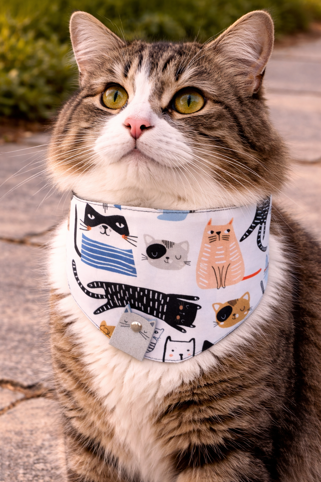 Black and Blue Cats - Scarf