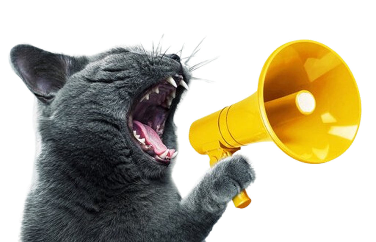 Screaming Into the Void (Featuring Etsy Fees and – is anybody out there?)